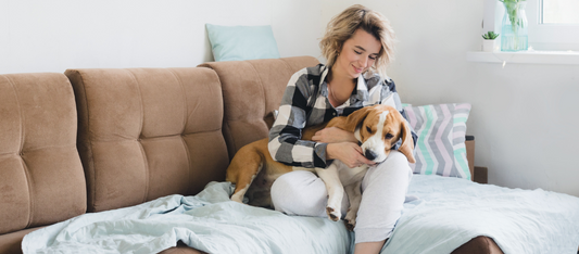 Can Dogs Have Human CBD?