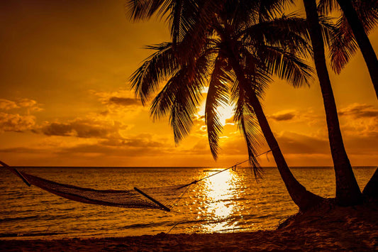 sunset beach scene with hammock tied to palm tree