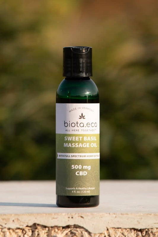 Biota.eco 500mg CBD Massage Oil w/ Sweet Basil